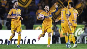 Tigres. Foto: ©Raúl Martínez
