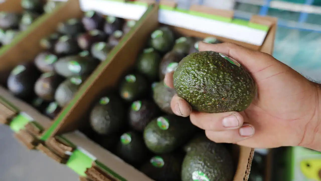 El aguacate mexicano, la otra estrella que domina el Super Bowl