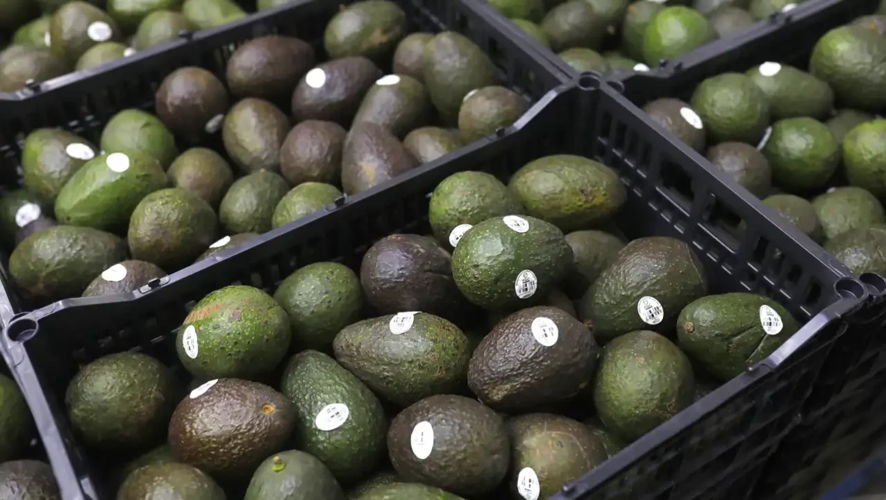 El Super Bowl mueve agroexportaciones mexicanas; el aguacate, carne y garbanzo lo más vendido