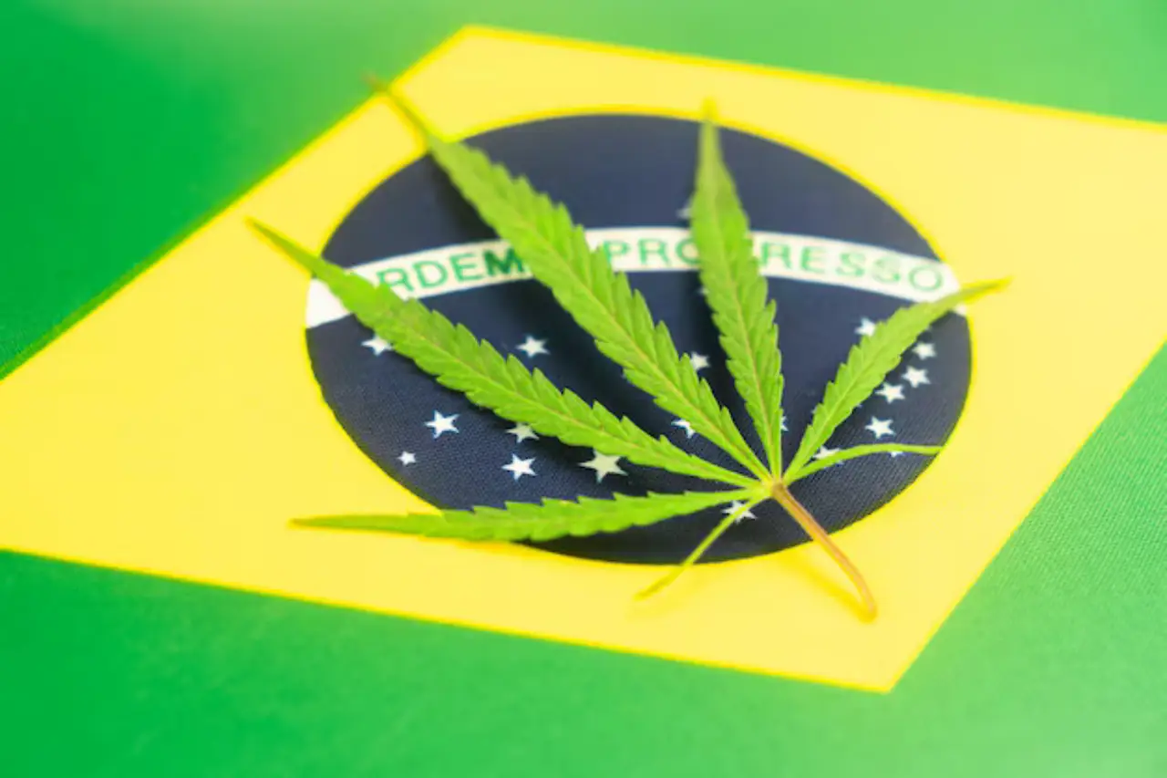 Brasil apuesta por el papel de cáñamo: una jugada industrial con potencial multimillonario