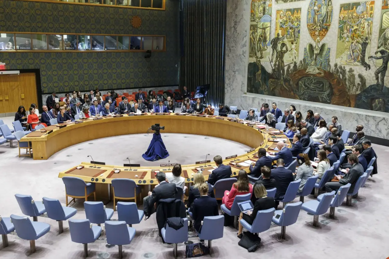 Francia y México desean más apoyo a su intento de regular el veto en el Consejo Seguridad 