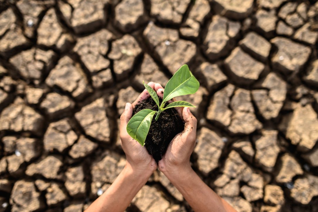 México será sede de la próxima conferencia sobre educación en cambio climático