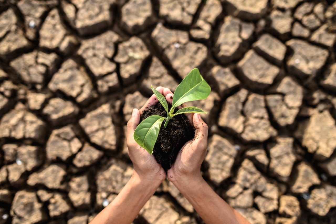 México será sede de la próxima conferencia sobre educación en cambio climático
