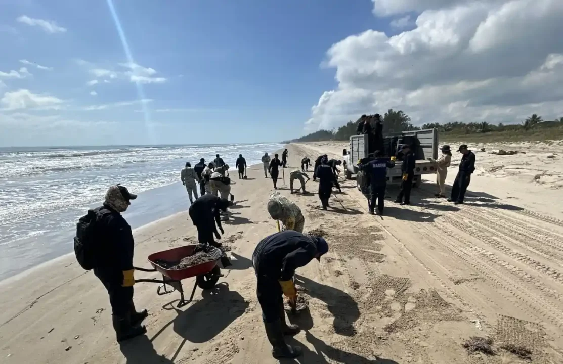 Sheinbaum anuncia apoyo de 15,000 pesos a pescadores por derrame