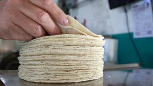 tortilla