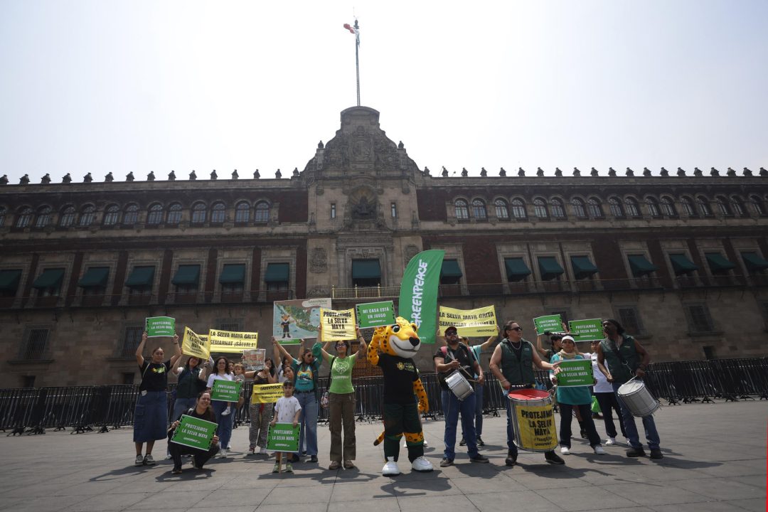 Greenpeace lanza ruta del jaguar para alertar de la destrucción de la Selva Maya en México