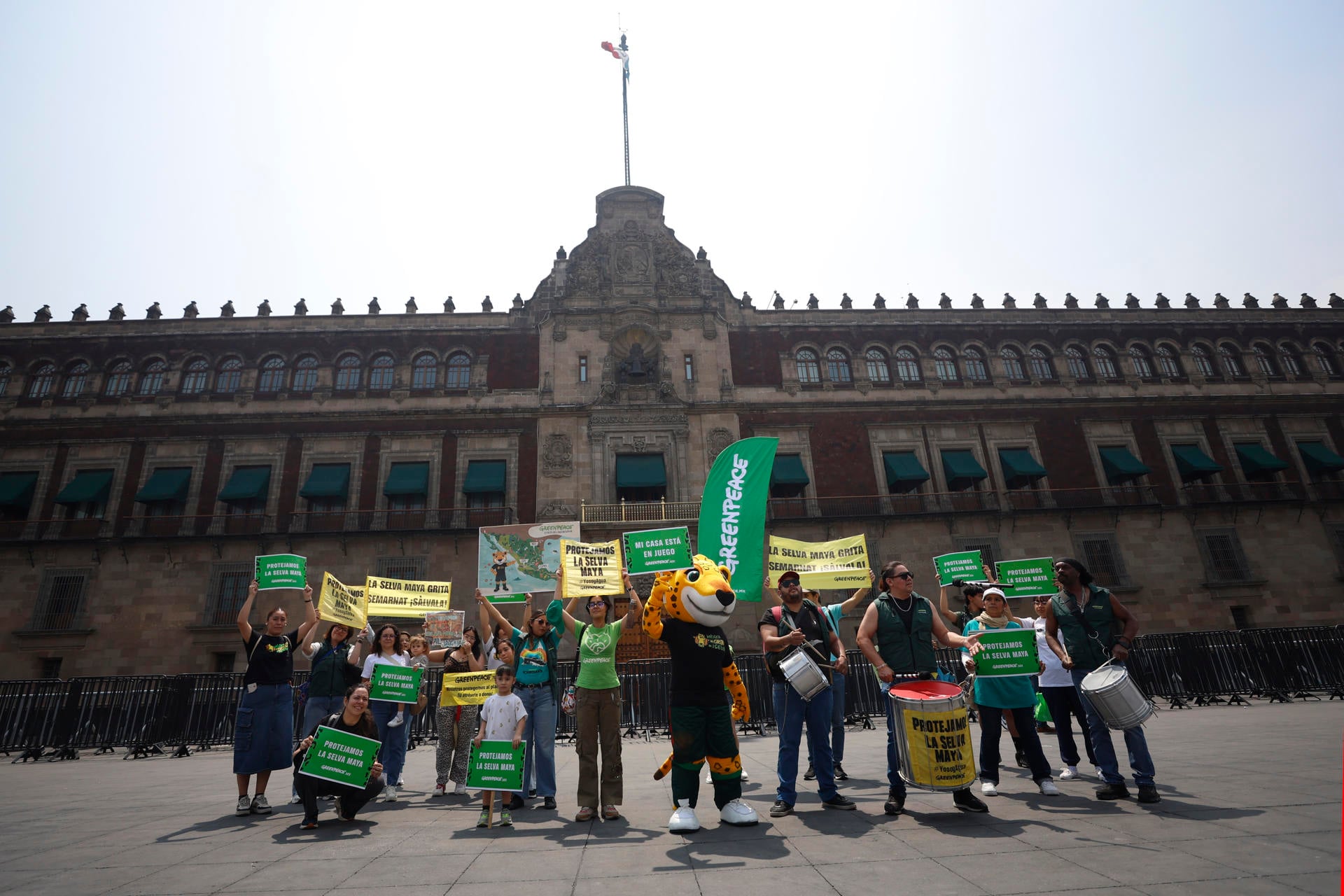Greenpeace lanza ruta del jaguar para alertar de la destrucción de la Selva Maya en México