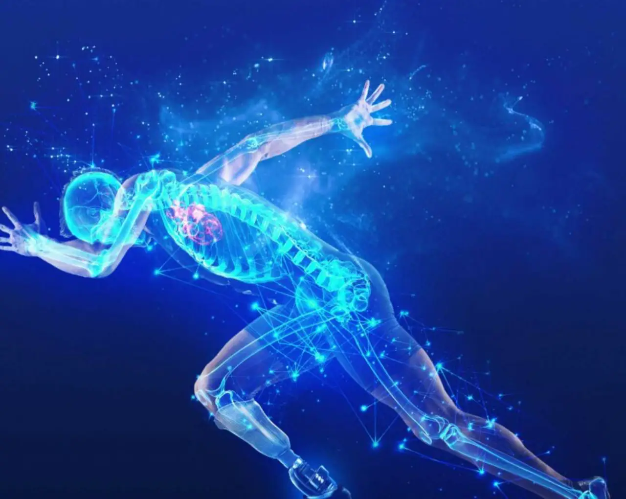 El cuerpo humano del futuro: cine IMAX, biotecnología y la nueva frontera de la esperanza