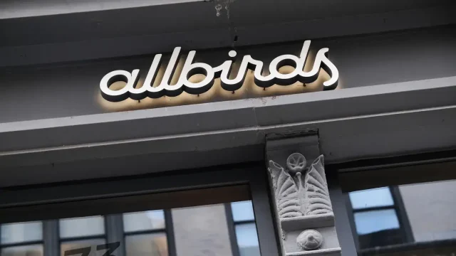 Allbirds-Smartbird-IA