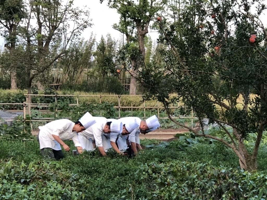 Amanyangyun