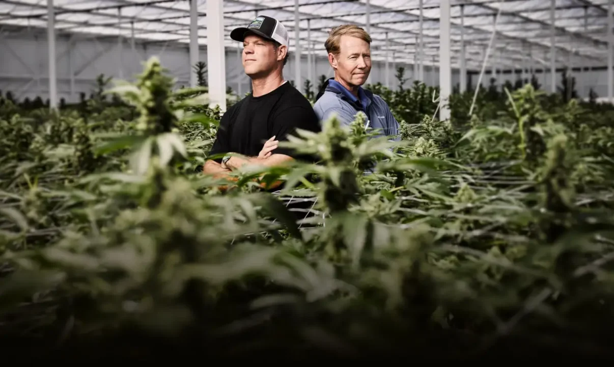 El invernadero de cannabis más grande de Estados Unidos quiere convertirse en ‘el Sunkist de la marihuana’