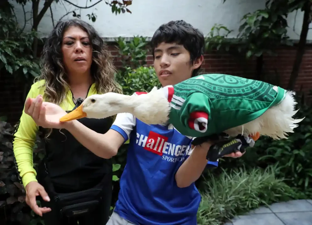 La marca ‘pato Merlín’ es de la familia Gómez: IMPI