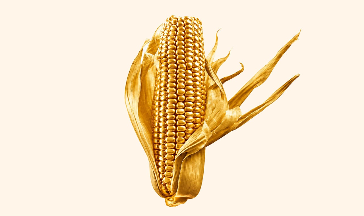 Maíz, el oro de América