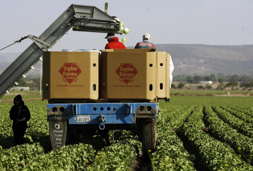 Taylor Farms celebra una mayor investigación de regulador sanitario