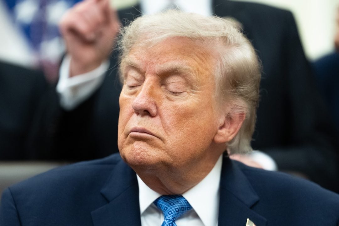 Mis hijos dirigen mis negocios: Trump