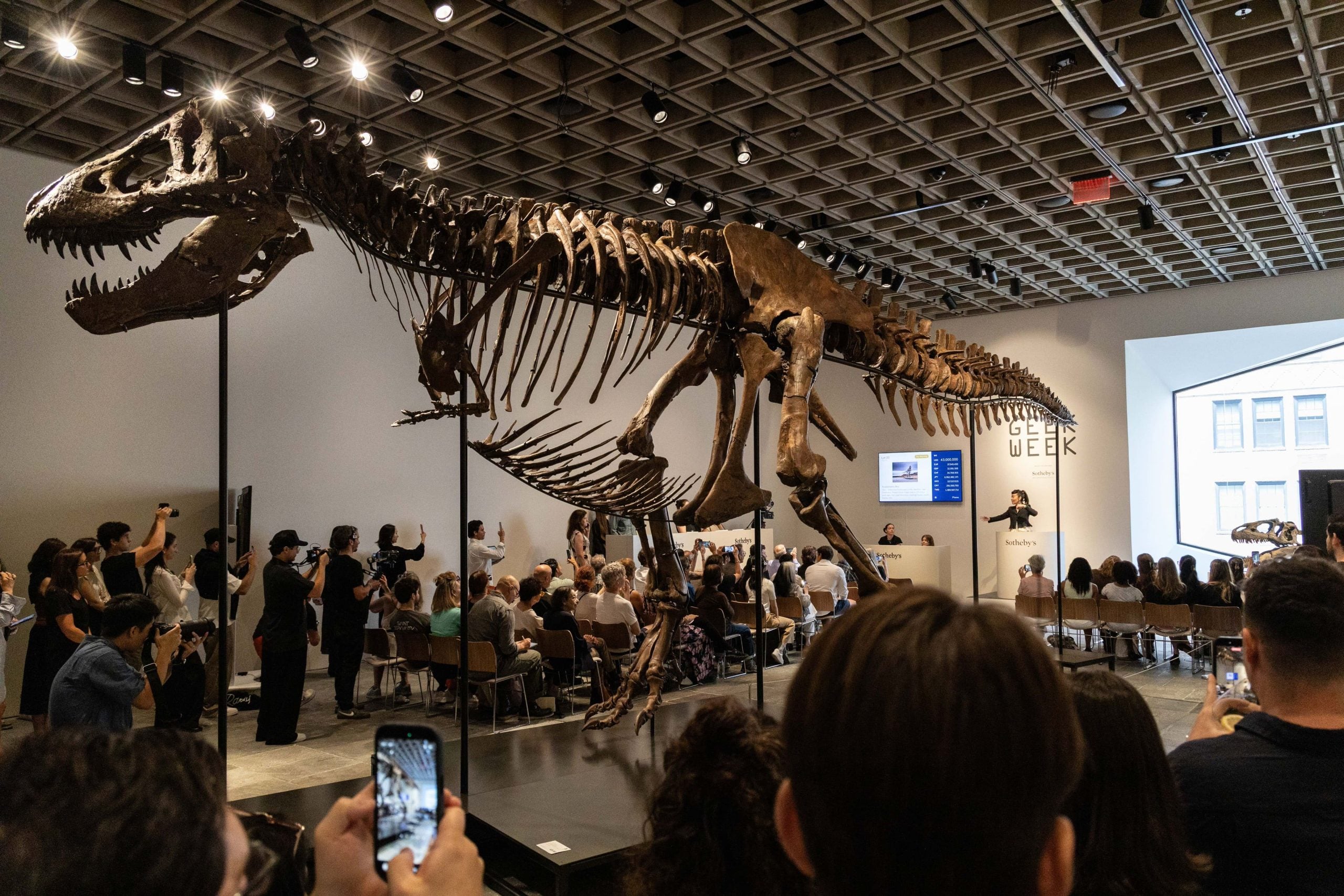 Un fósil de T. Rex se vende por un récord de 50.1 mdd en subasta en NY