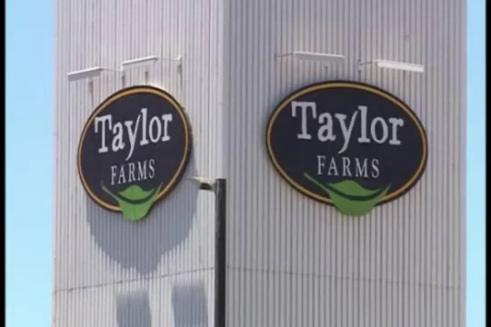 Taylor Farms-lechuga-ciclosporiasis
