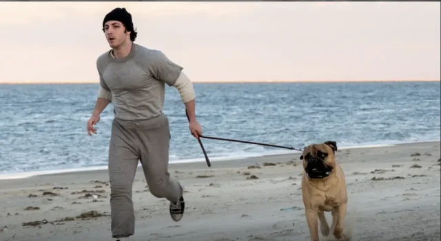 Yo soy Rocky-Stallone