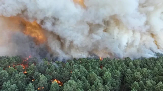 incencios Francia
