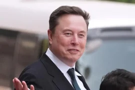 patrimonio Musk-Starship